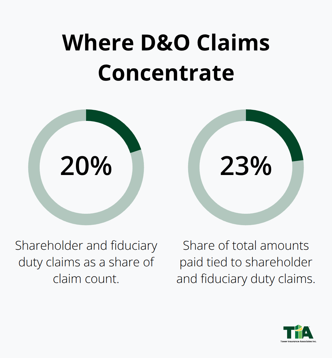 Percentages showing concentration of D&O claim types and amounts paid. - D&O claims process